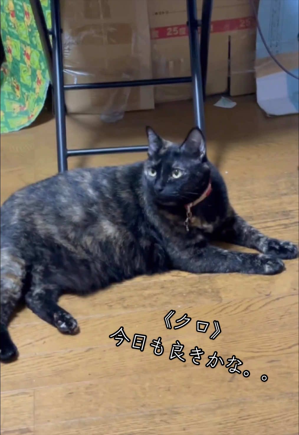 @聴々物語PROJECT