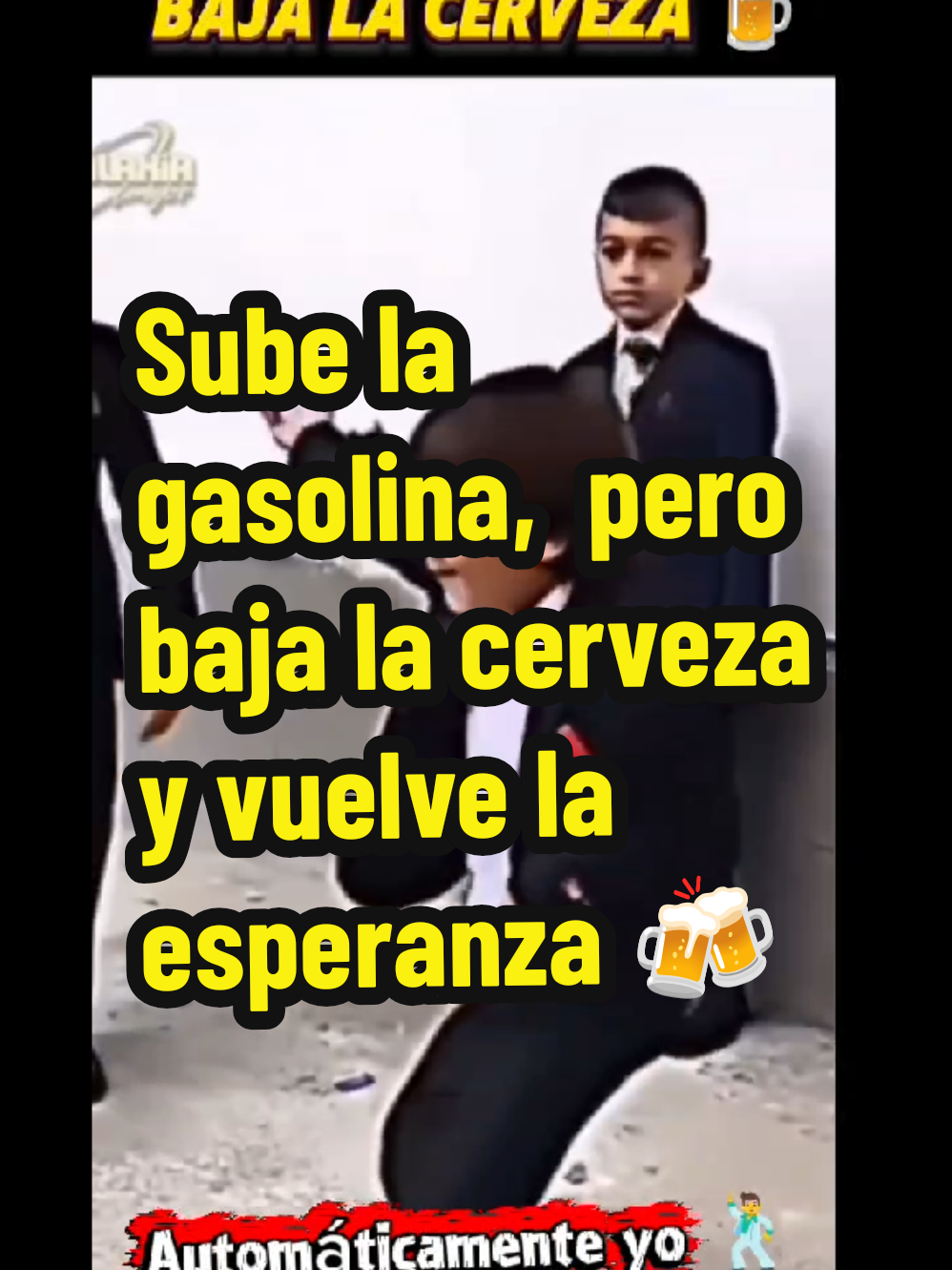 @gatomaiko2.0