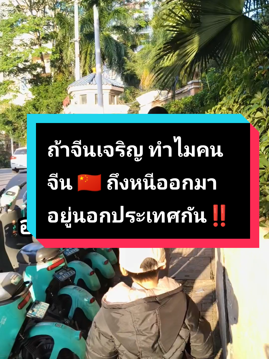 @ทิพย์สะใภ้หนานหนิง