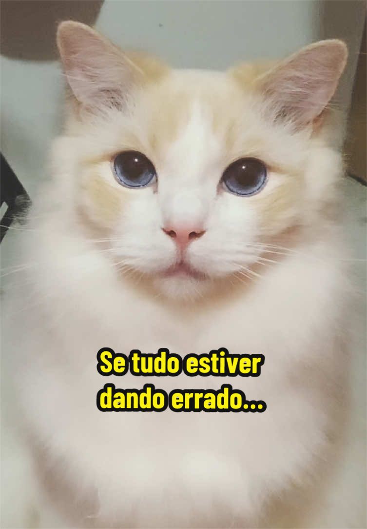 @𝒫𝑒𝓉𝓉𝑒𝓇 ♡