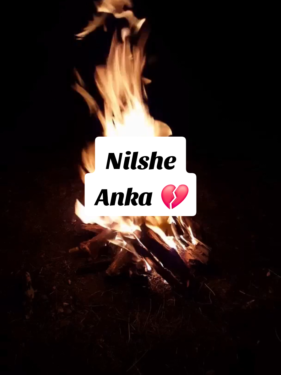 @uğur 🐞