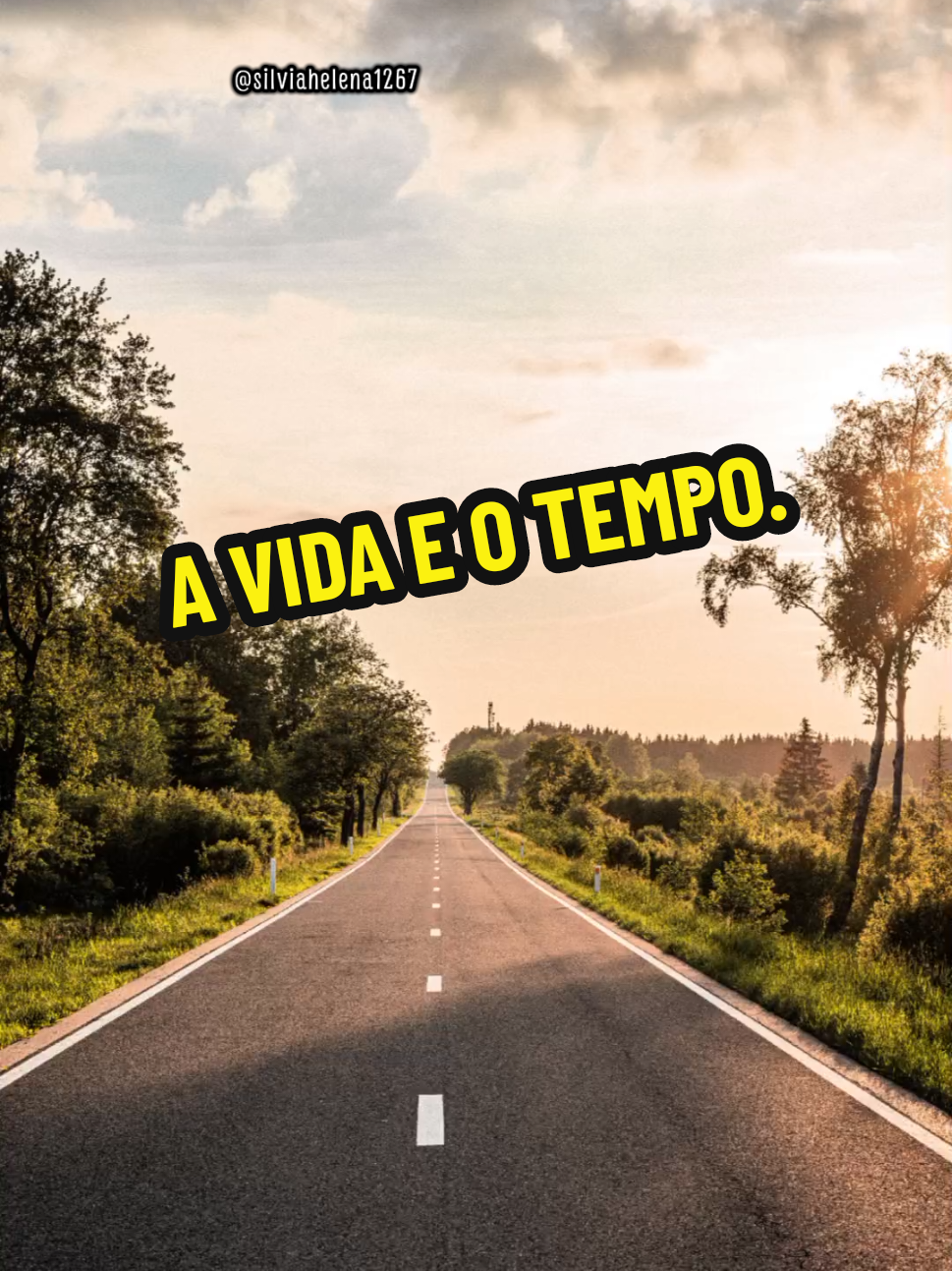 @Silvia Helena.