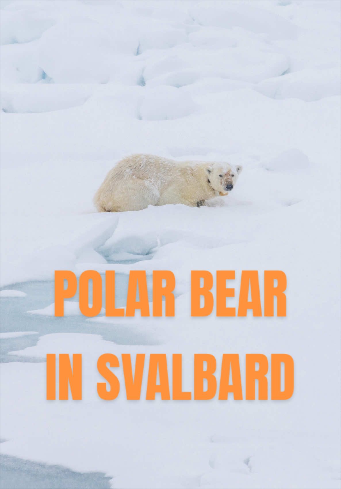 @Matty Jordan | Antarctica