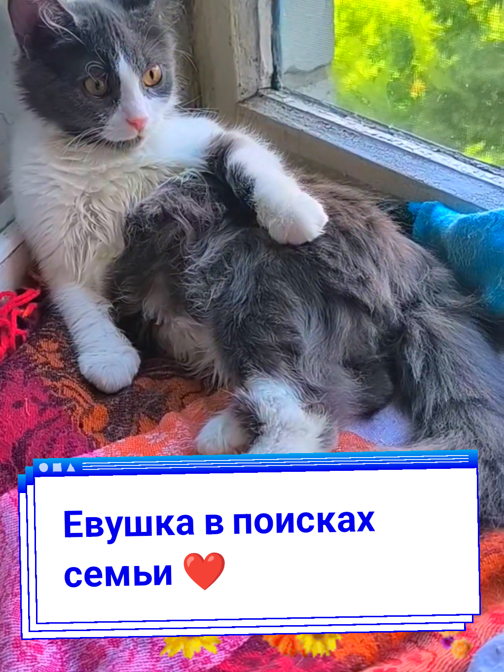 @Elena Barhat