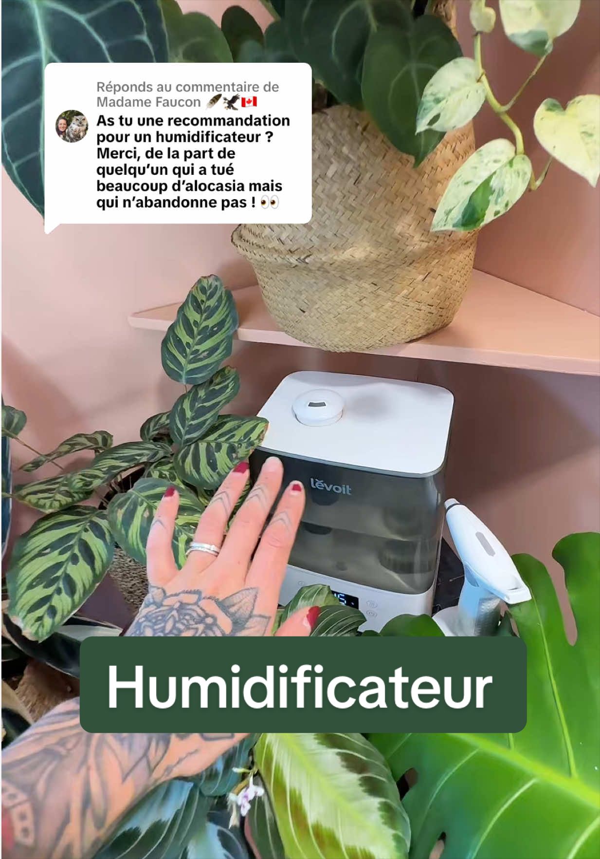 @Laura | Plants & Home decor