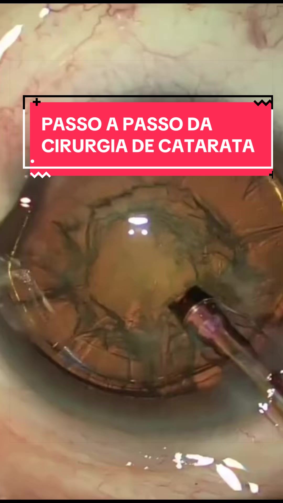 @Dr.André.Sigueta
