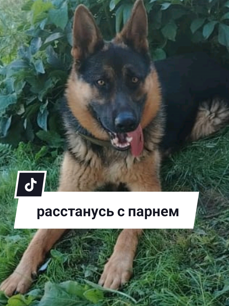 @Рыся✔️🇧🇾