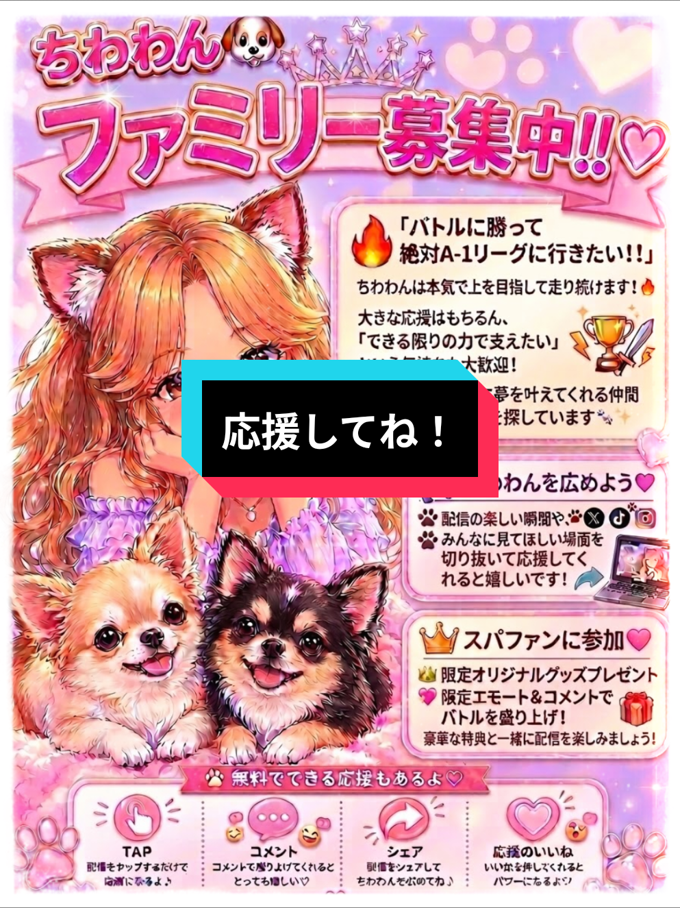 @ちわわん🐶✨