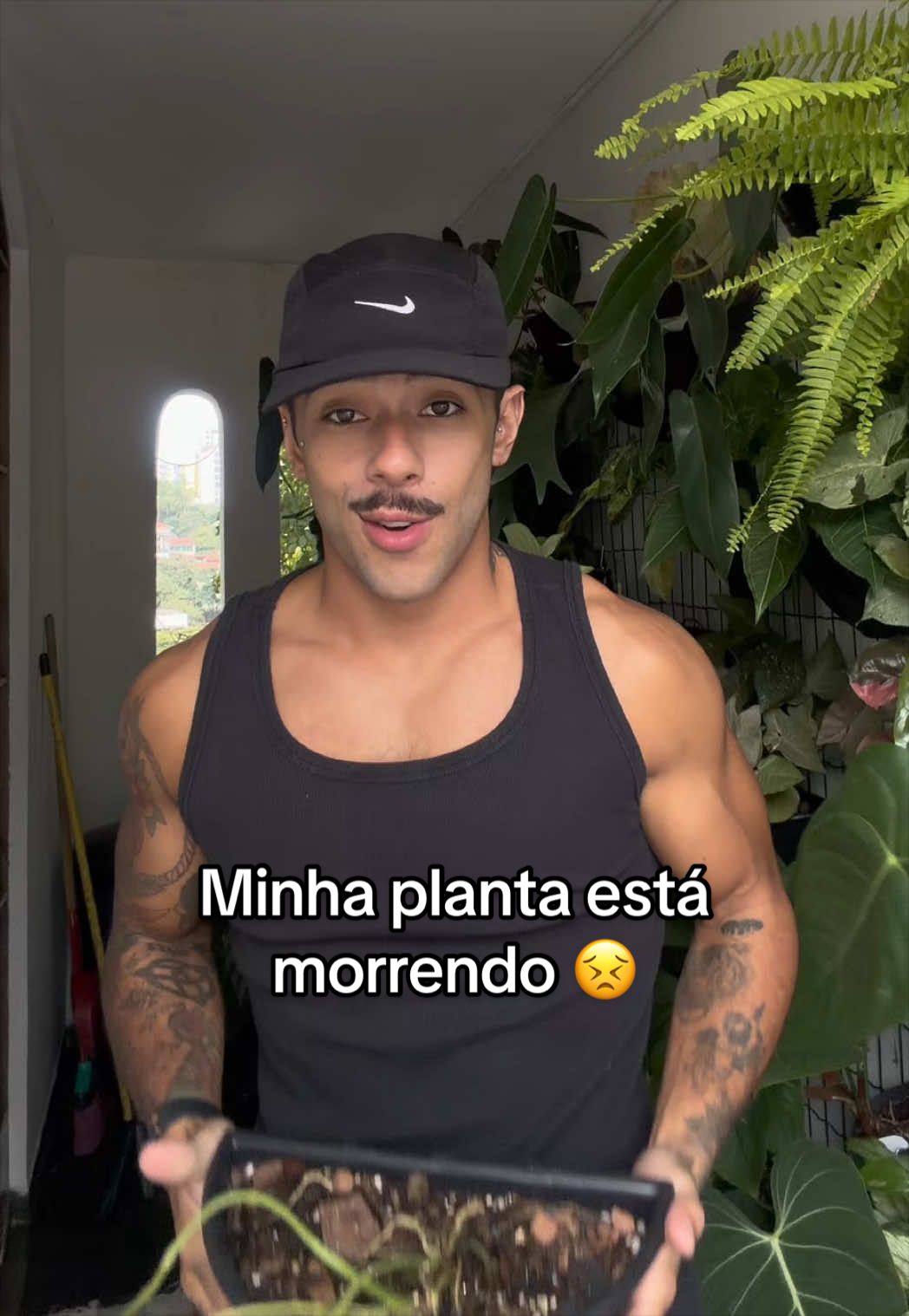 @Otávio Pichirillo