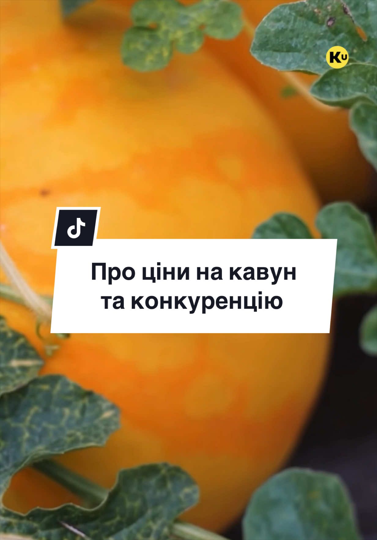 @Ku 🟨🟩 Lati – Agro Ukraine