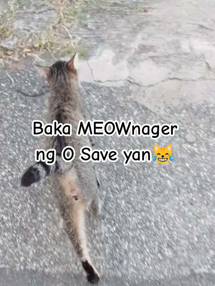 @mommyvange