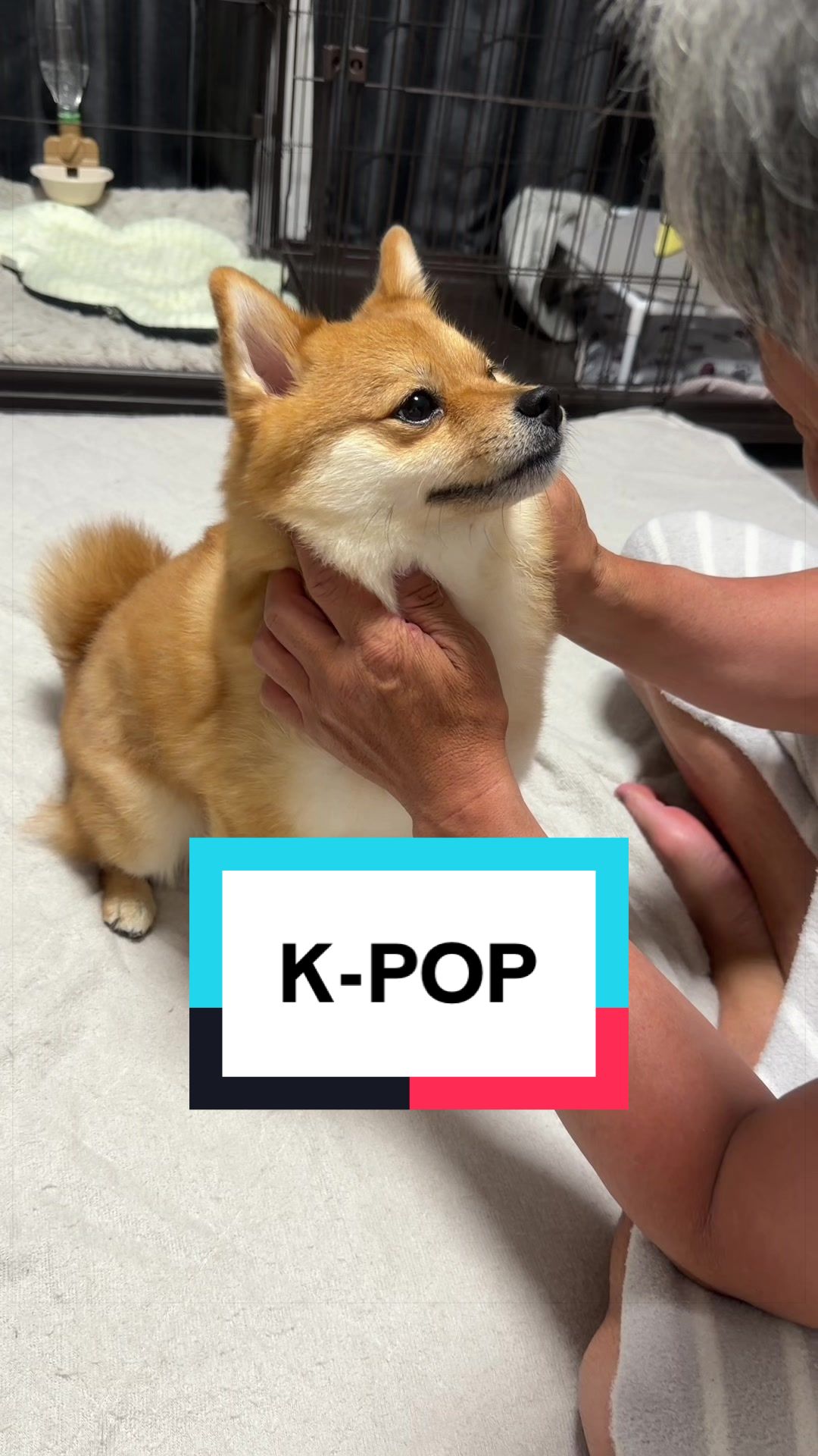 @🐶とん&ぺっぺこぺー🦊