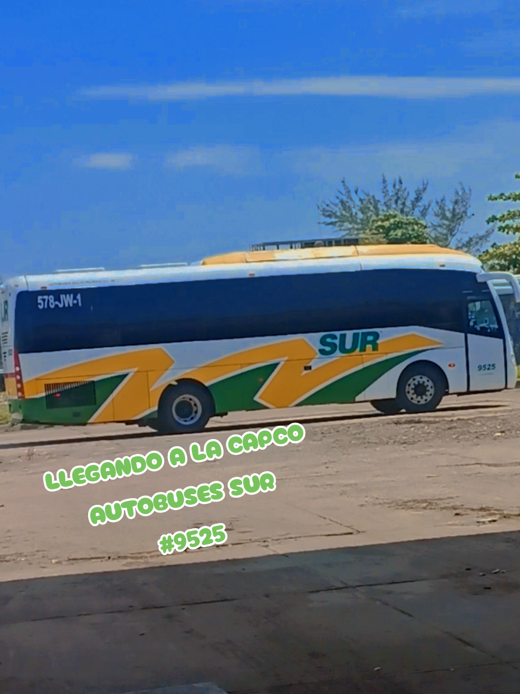 @Busologia Veracruzana 🍀🚍