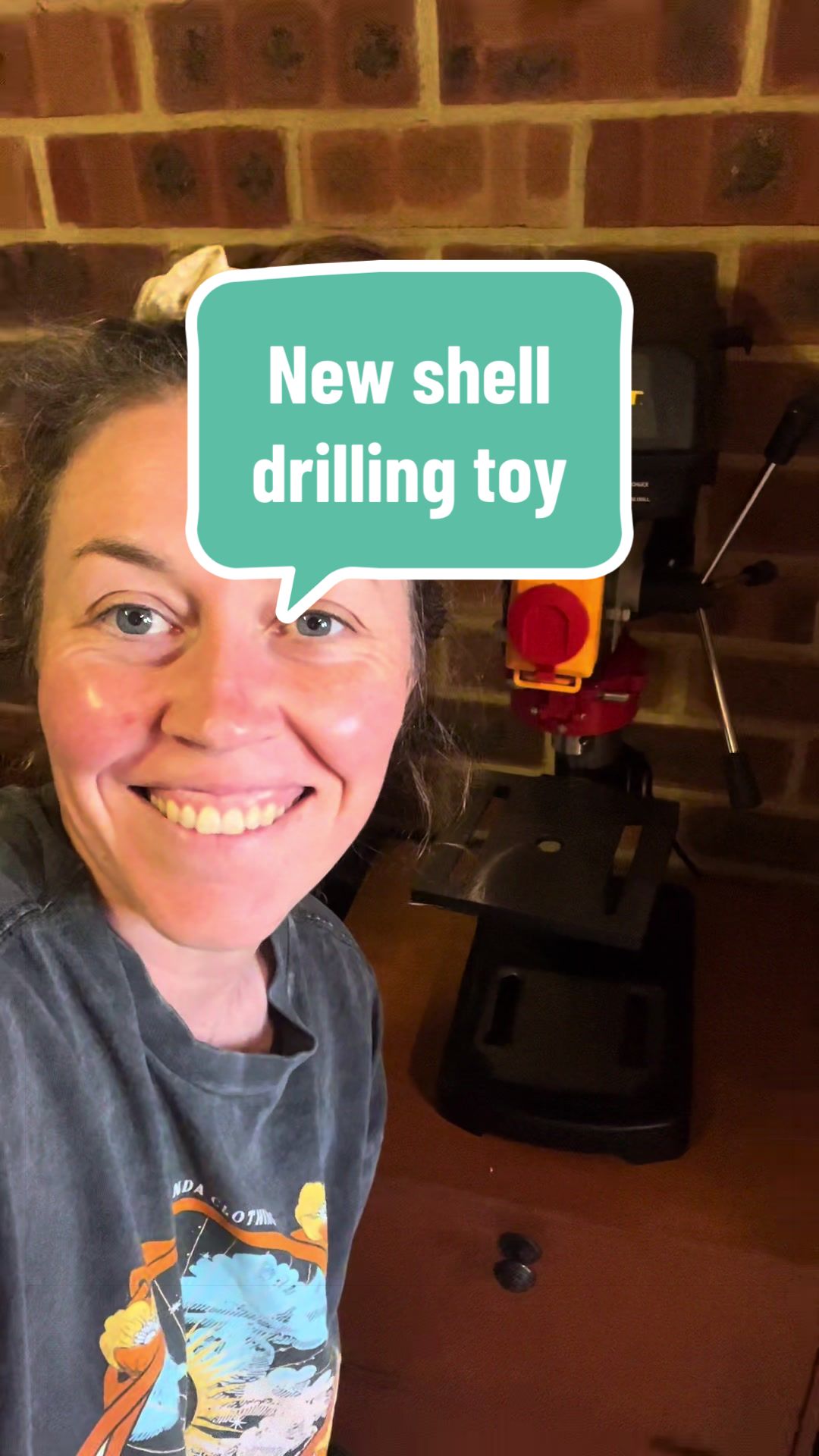@Dusty J Designs | Shells