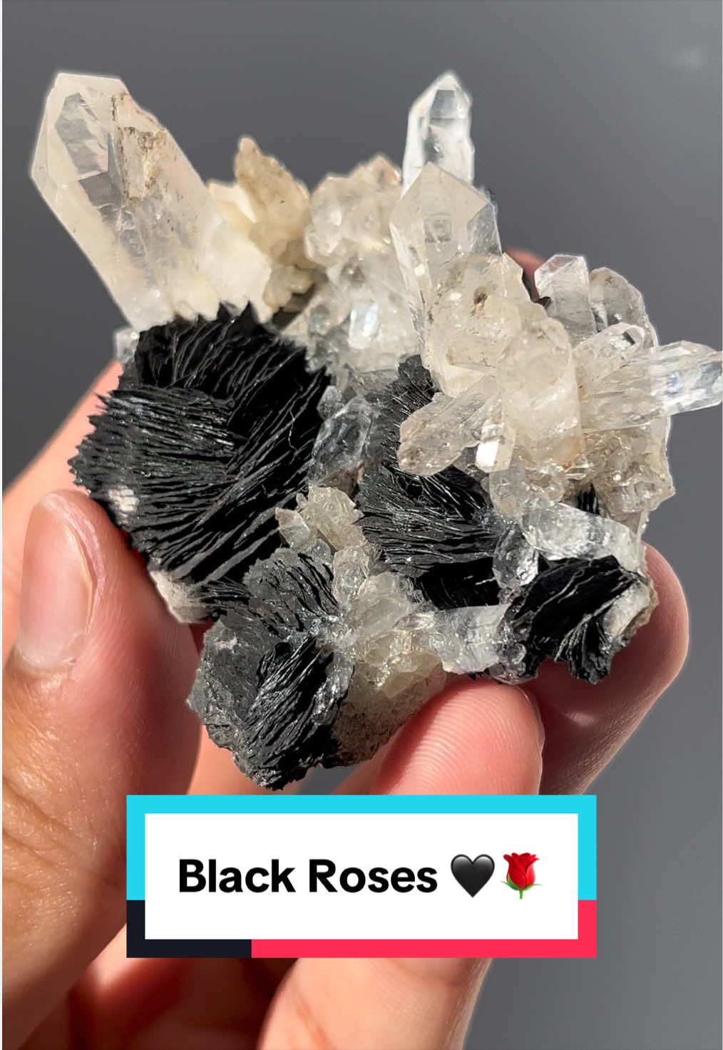 @Priestess Crystals