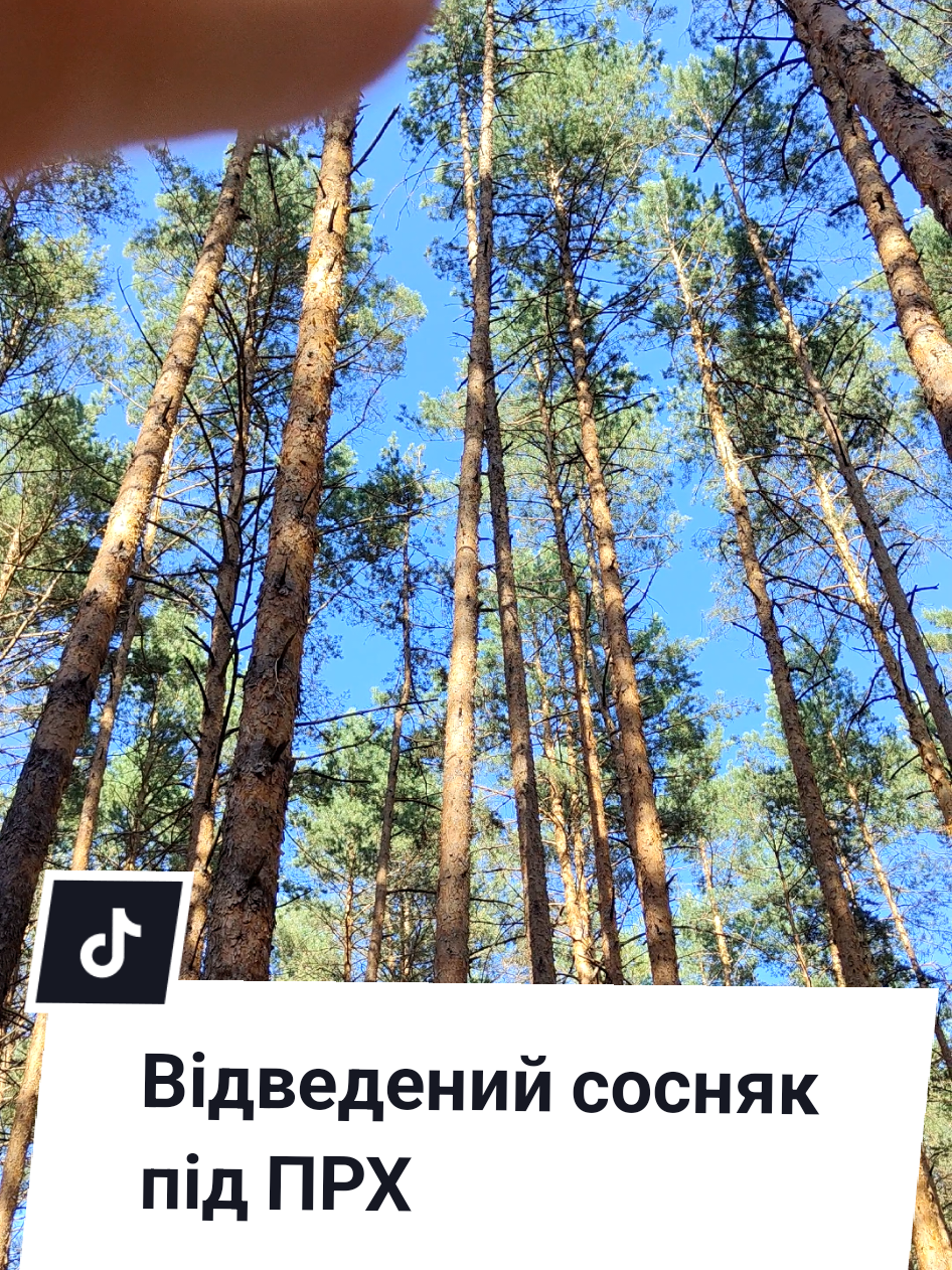 @Юрій Сірук