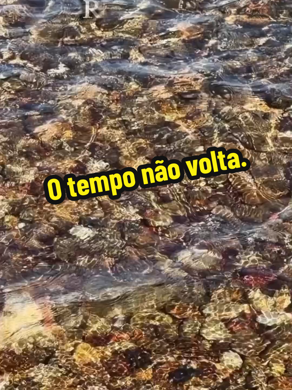 @Silvia Helena.
