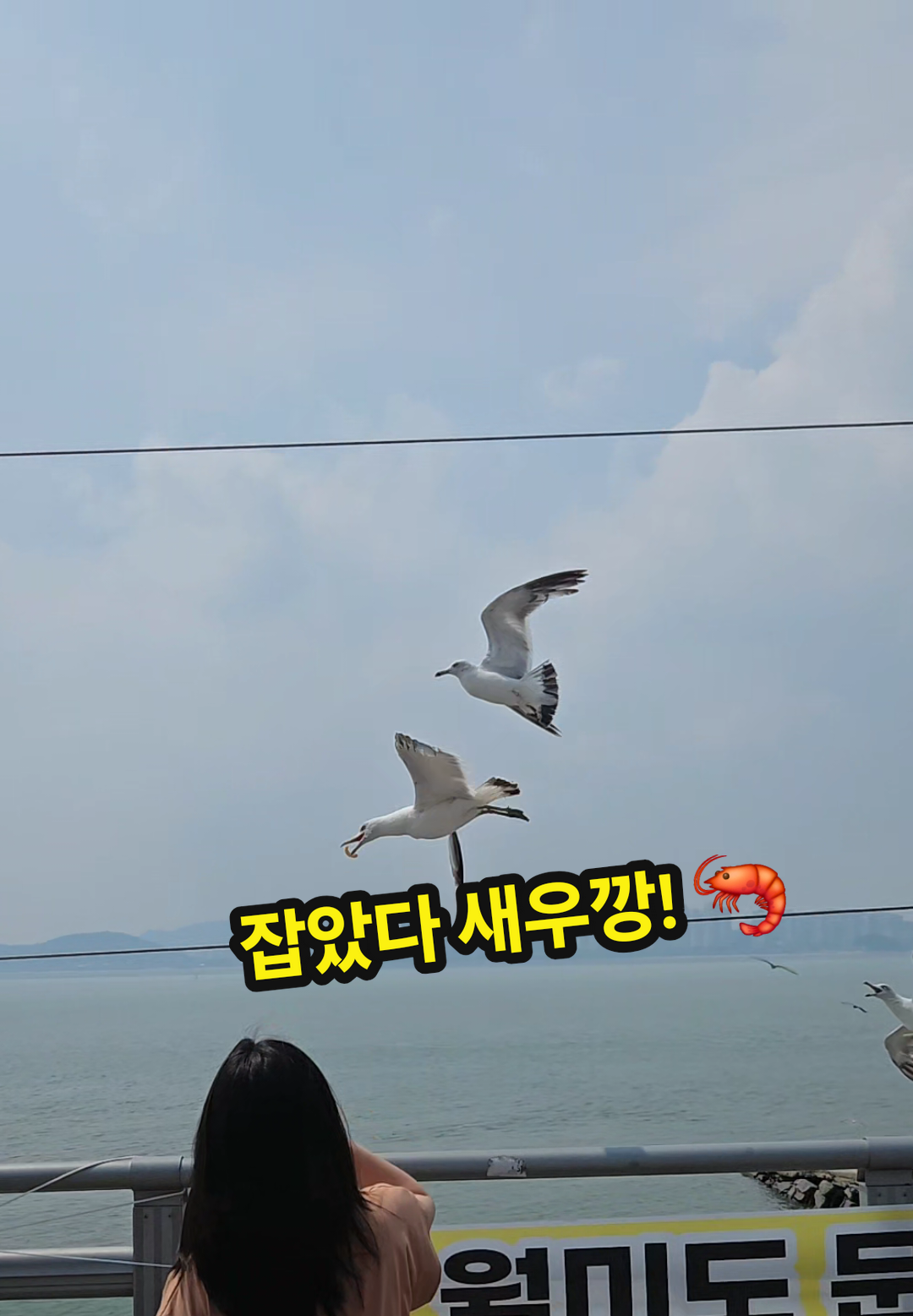 @공찬빈파파TV