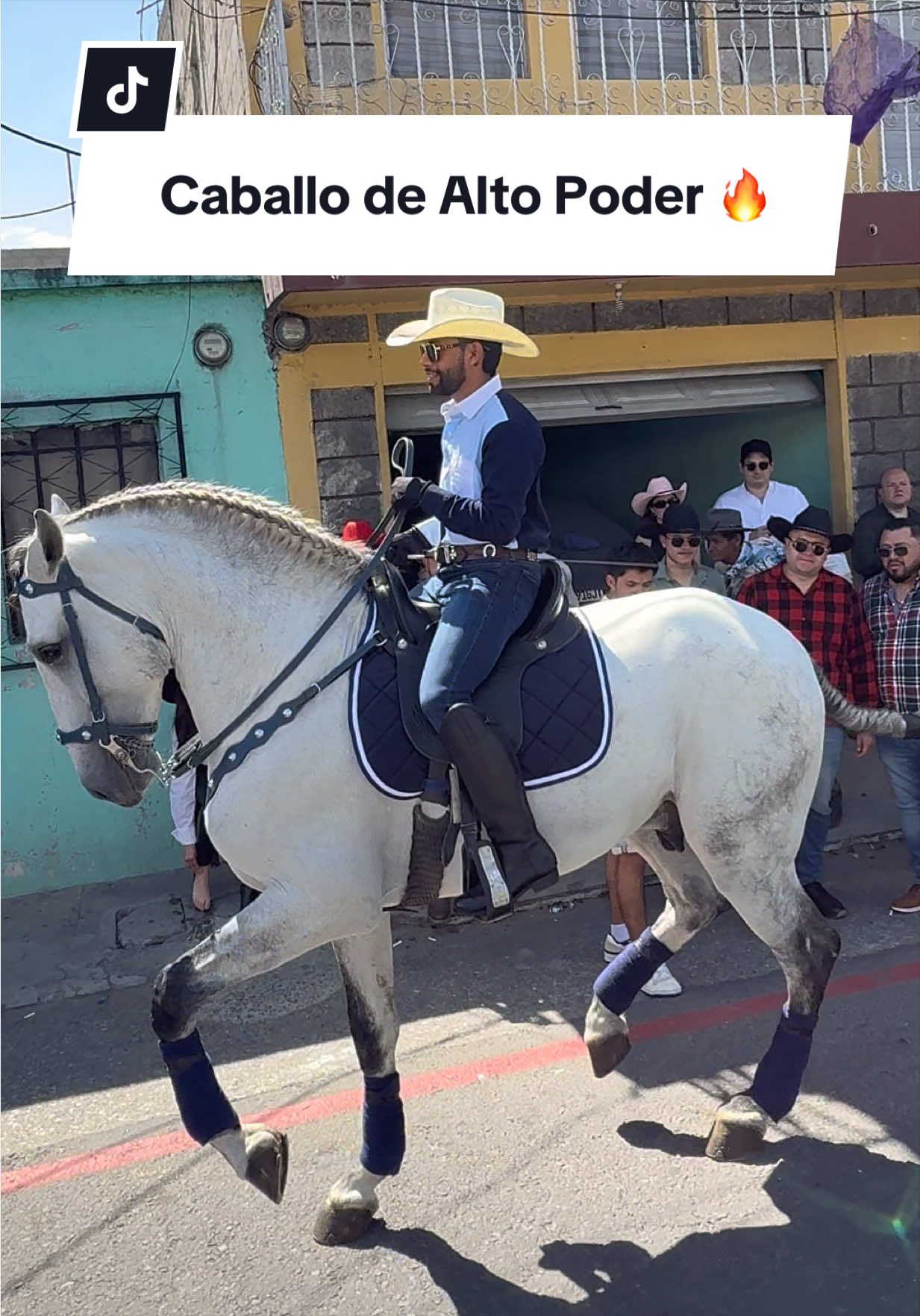 @reydelcaballo.gt