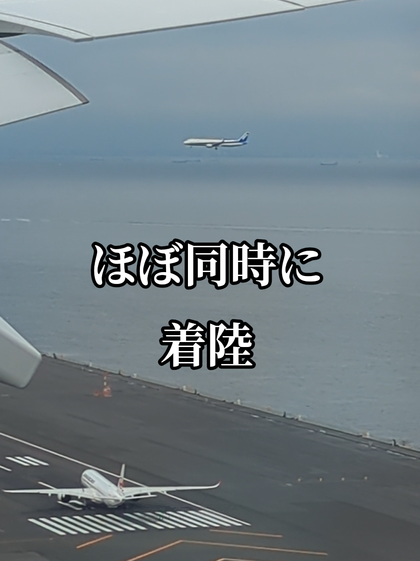 @そらねこ🐱sky cat