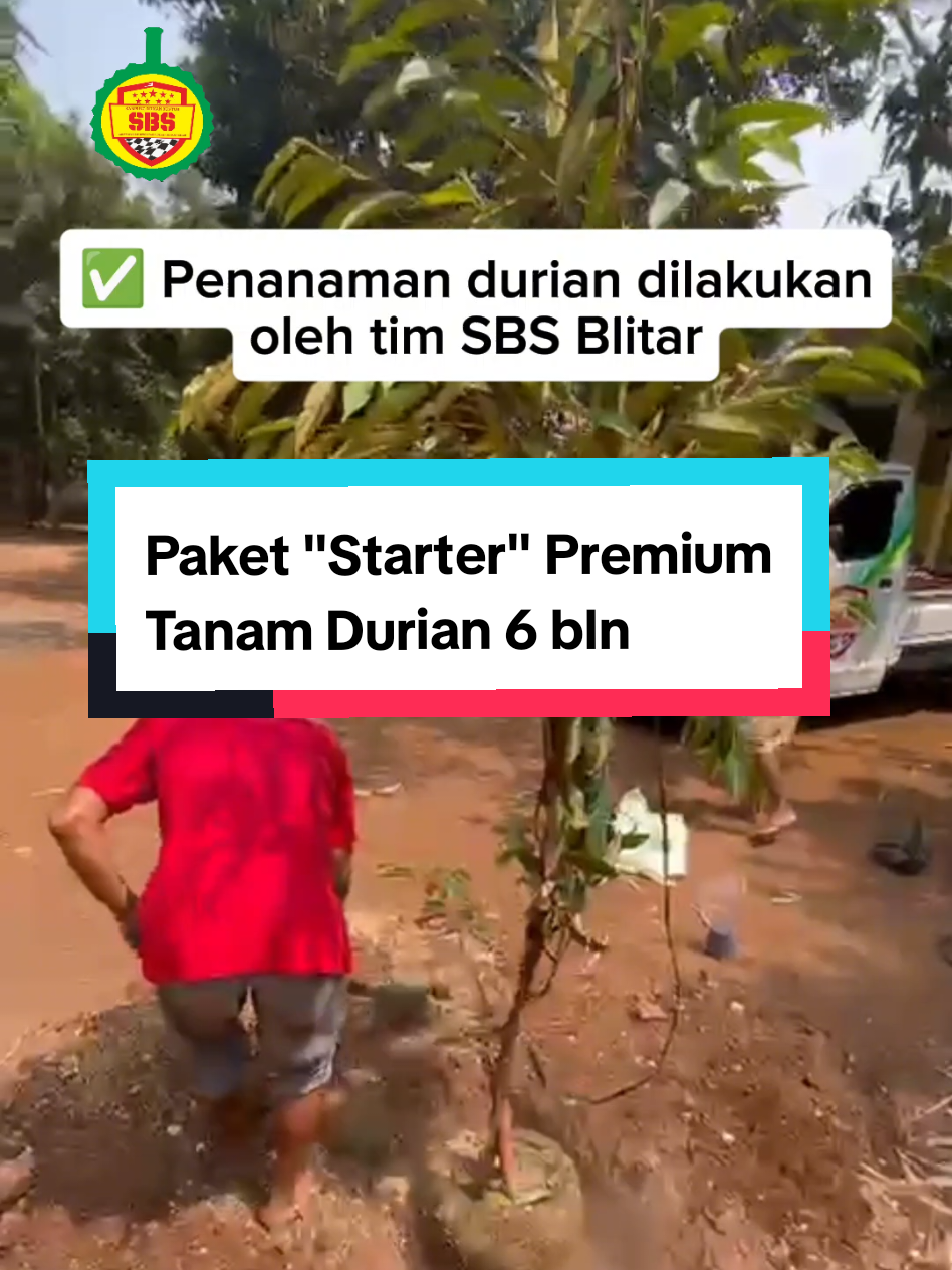 @Produksi Buah_SBS