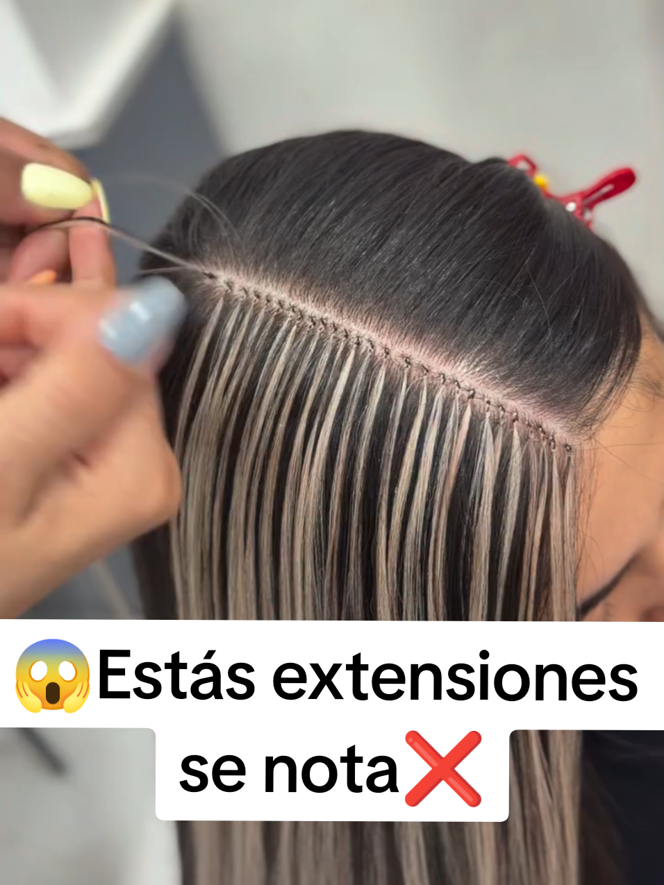 @Seminario Estetico