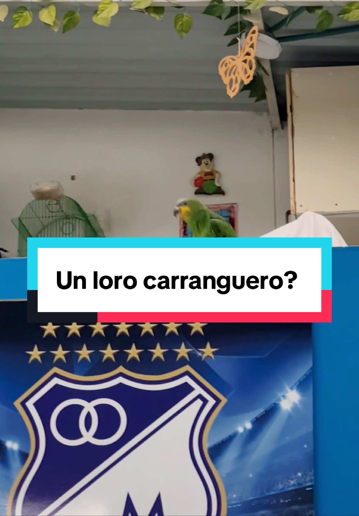 @Los del Vacile Carranga