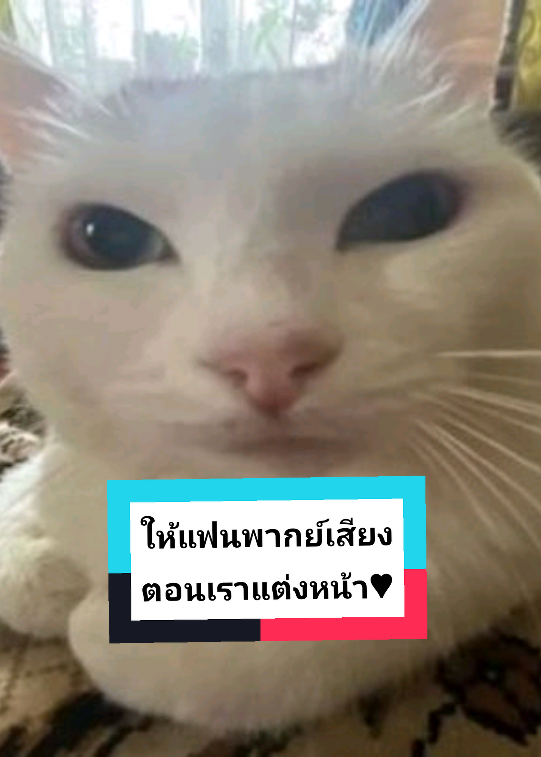 @MAWMUU มาวมู้