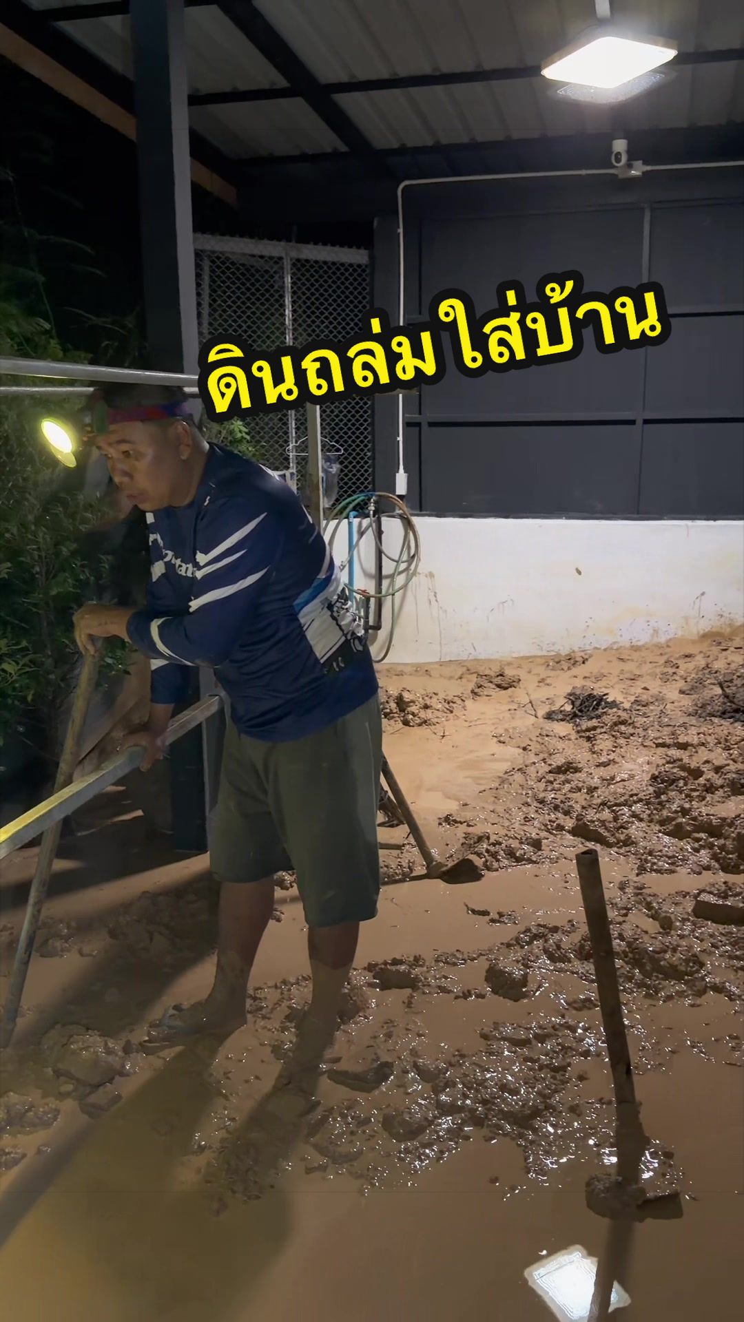@เต๋าเต๋าสุขภาพดี
