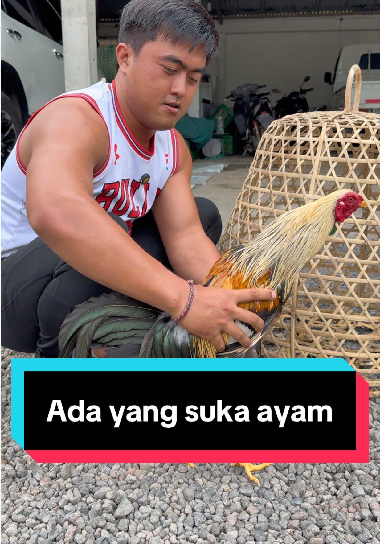 @Doni artawan