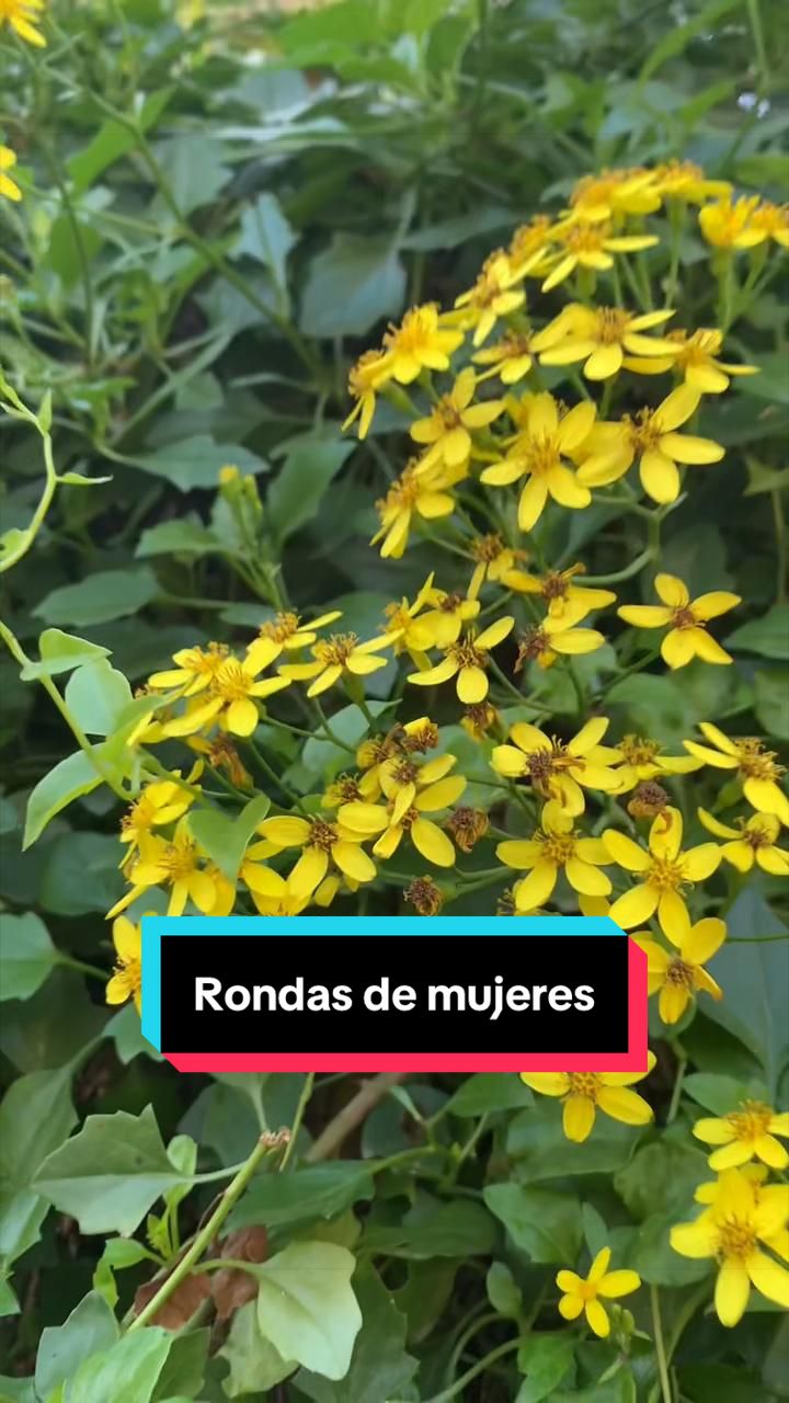 @agustinamorlacch7
