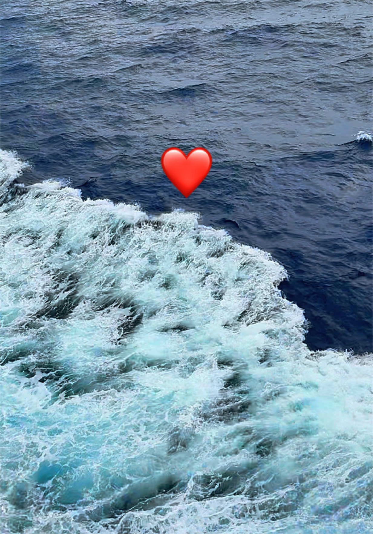 @V.V005