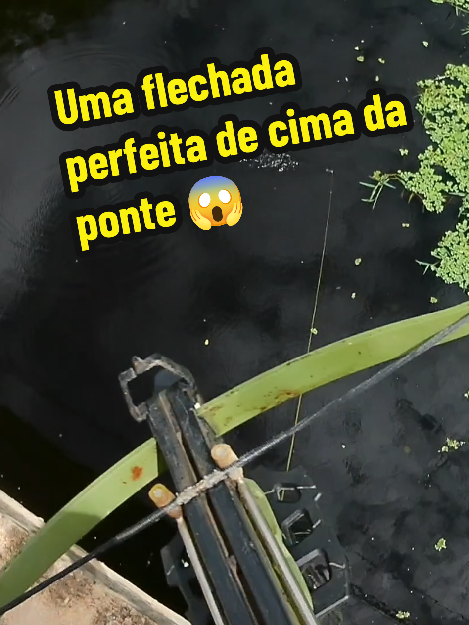 @Joildo Araujo