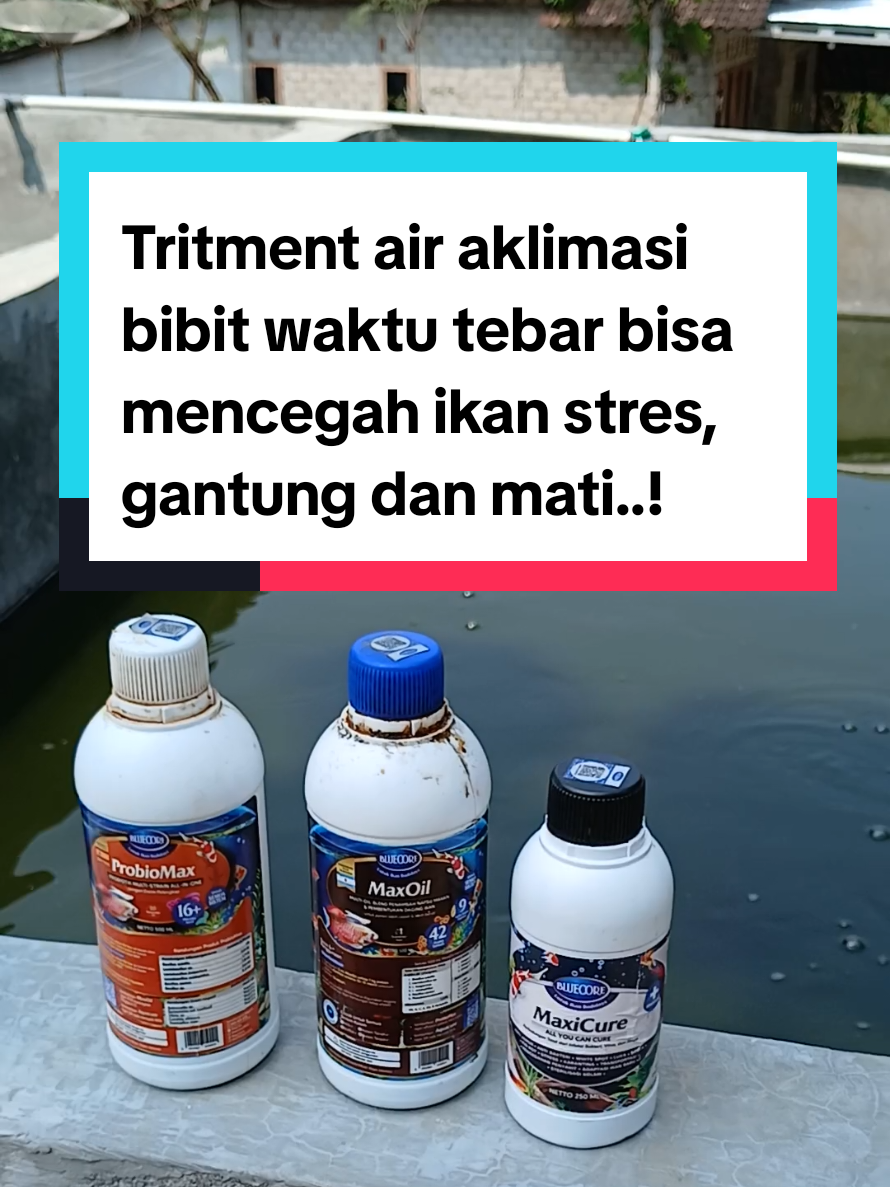 @Kang_Ewi