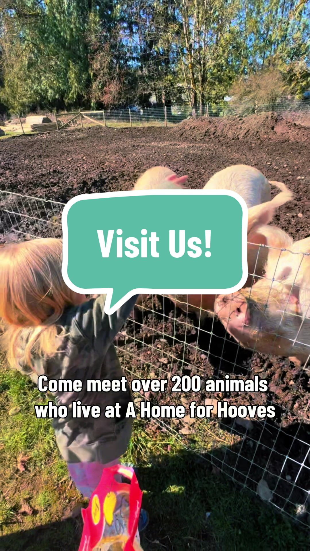 @Home for Hooves 🐽