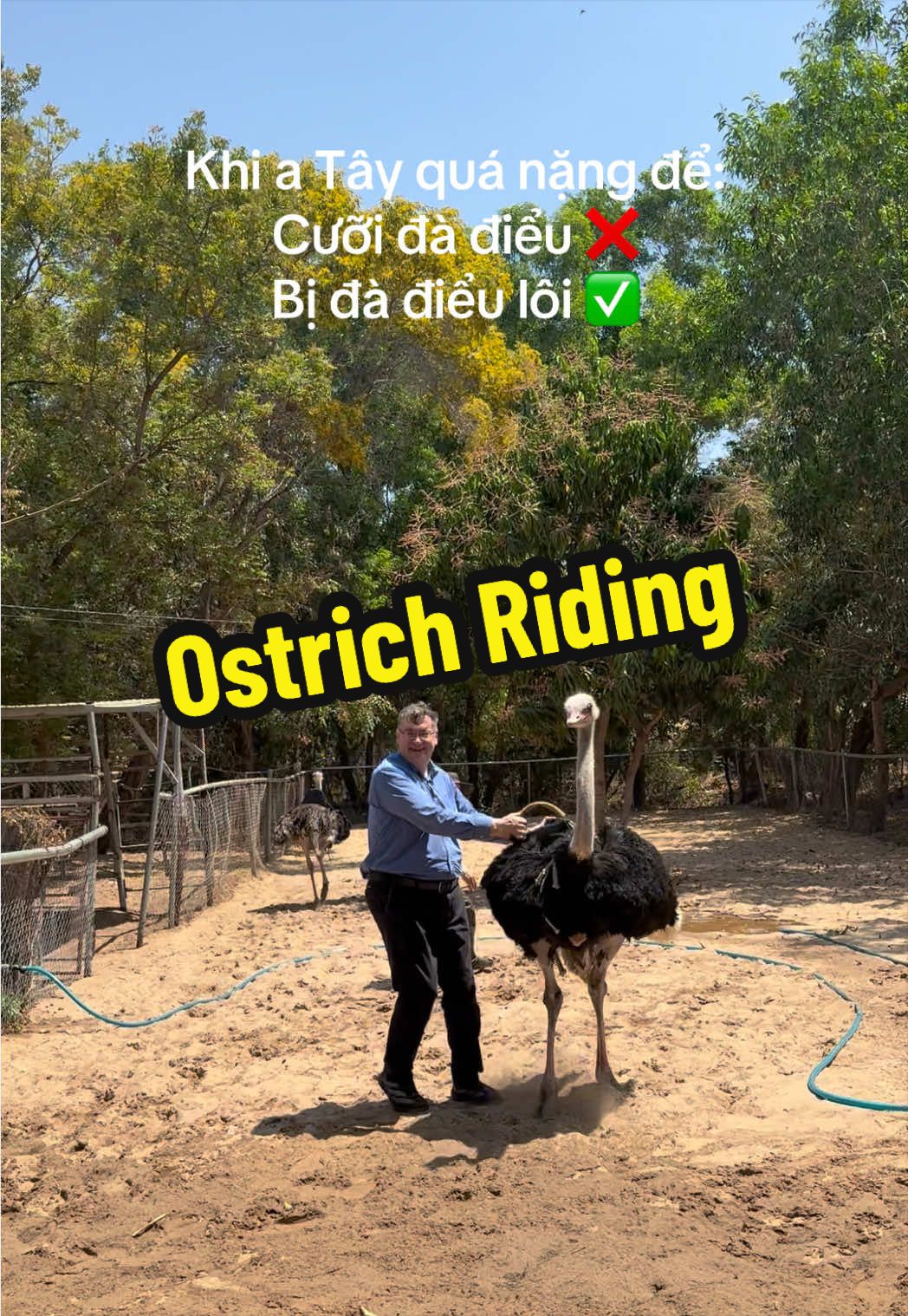 @Sunny Tour Guide