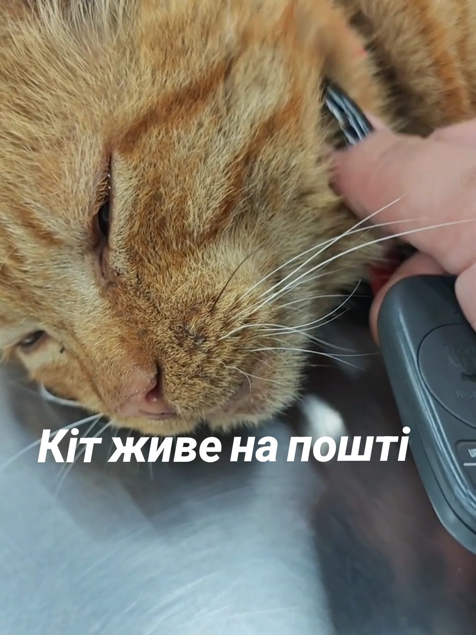 @Надя К.