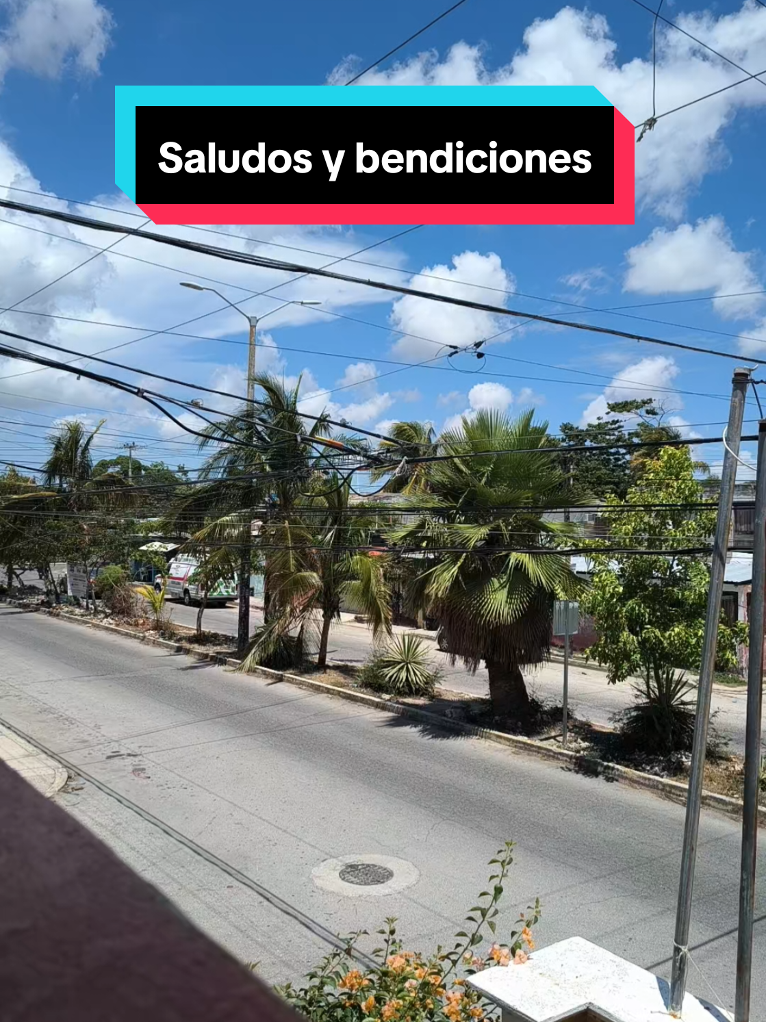 @Jesus sanchez Jarocho