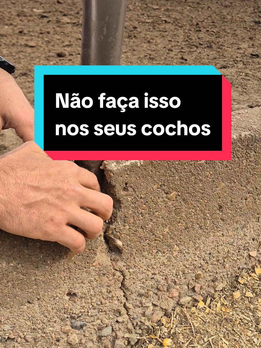 @Olavo Franco Bottino