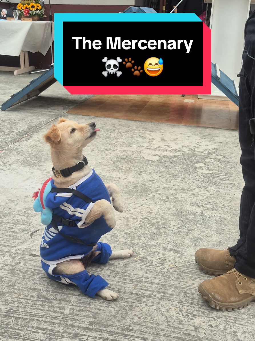 @𝕀ℕ𝕊𝕋ℝ𝕌ℂ𝕋𝕆ℝ 𝕂𝟡 𝔼.ℂ