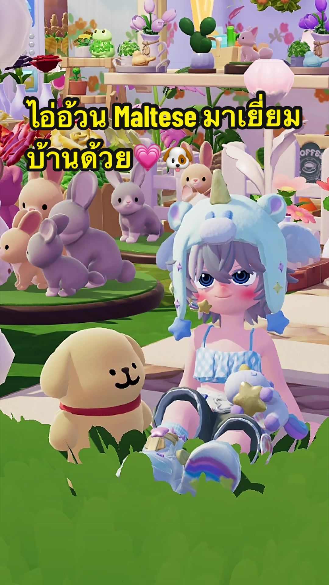 @BungearnKIKI🐦&zwj;⬛🍎