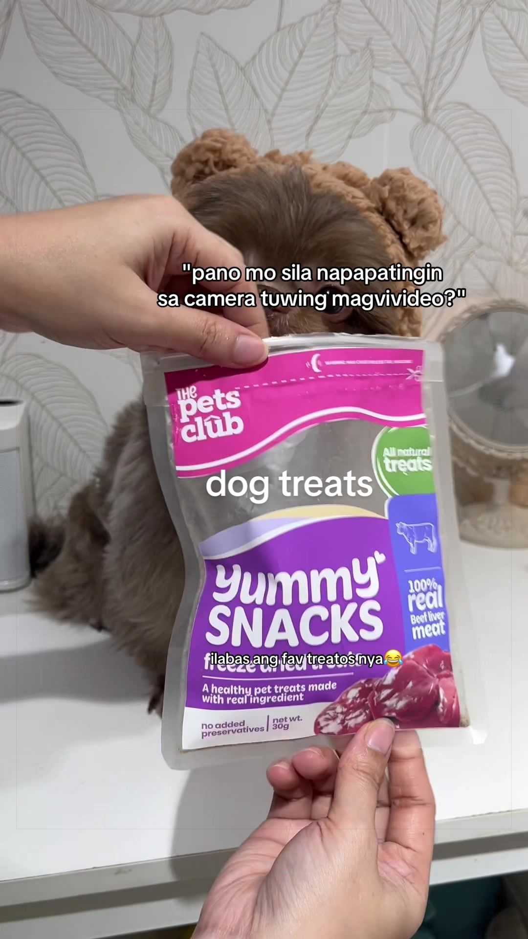 @Bellamy&Pawmily