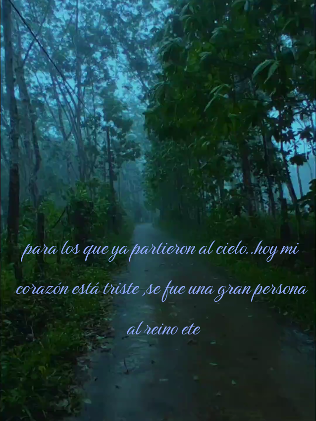 @ardilla89