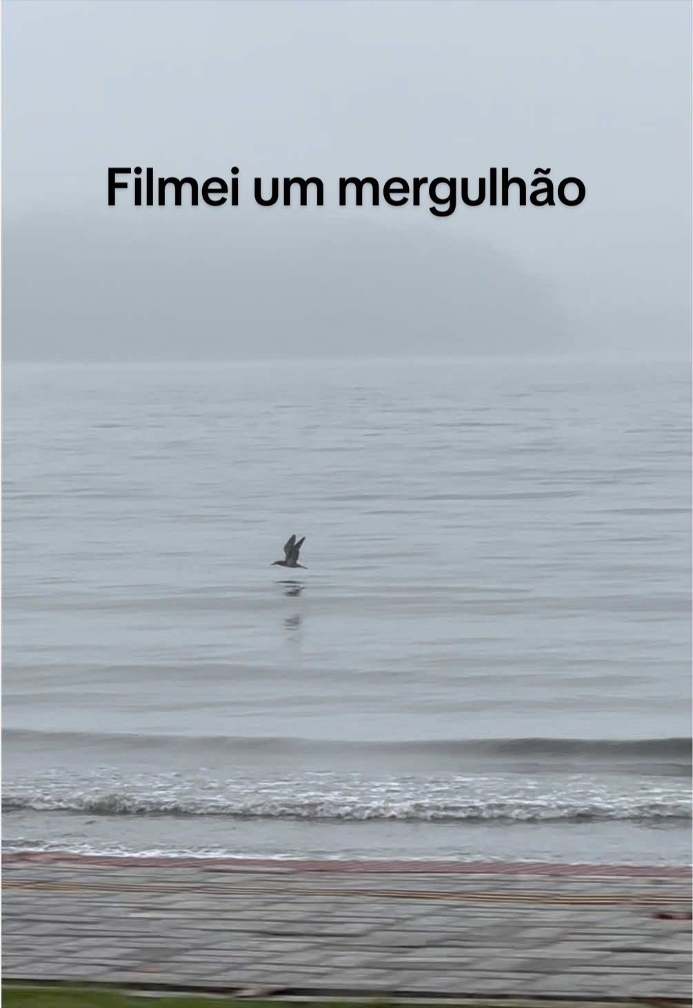@ubatubaeomundo