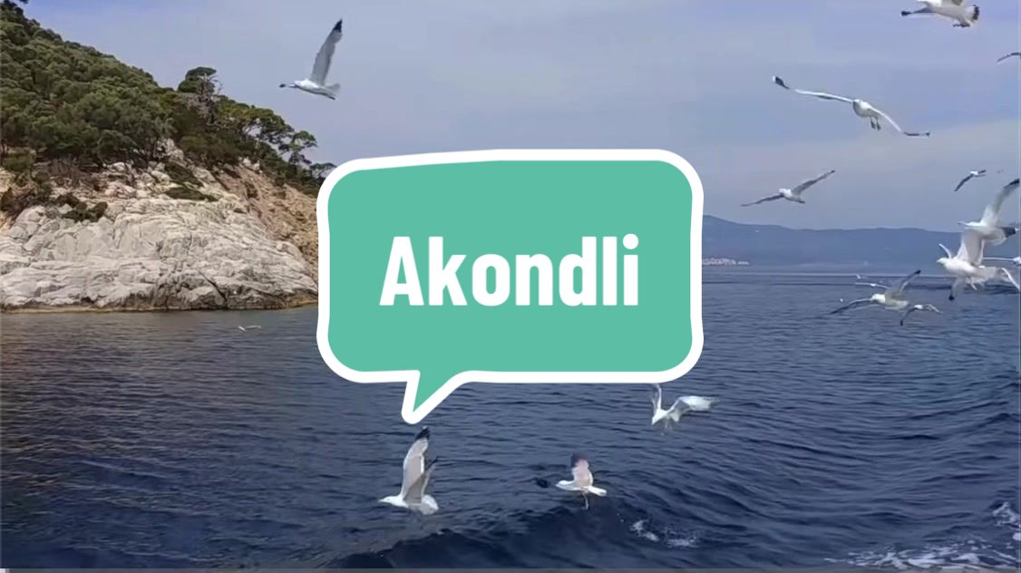 @Jonasi Gomora