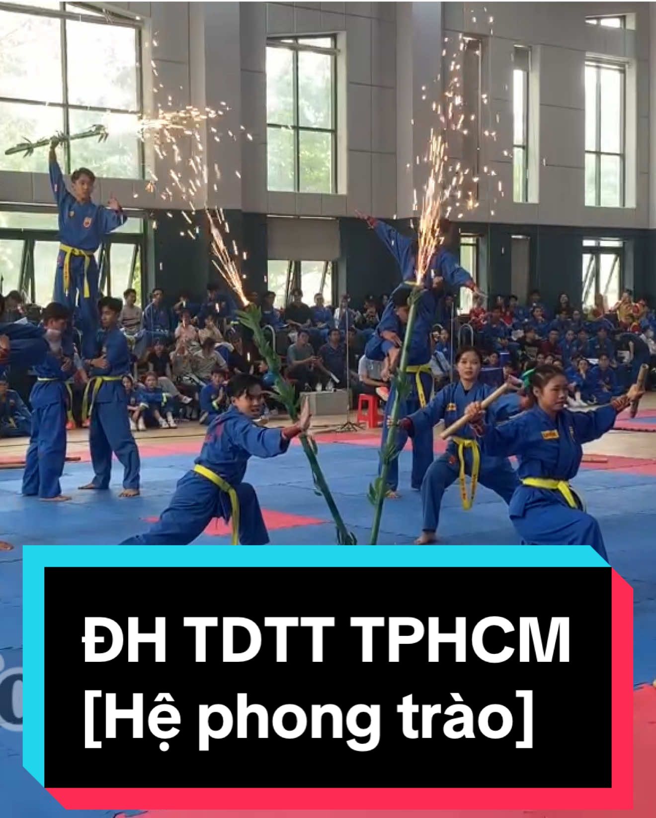 @Vovinam 1938