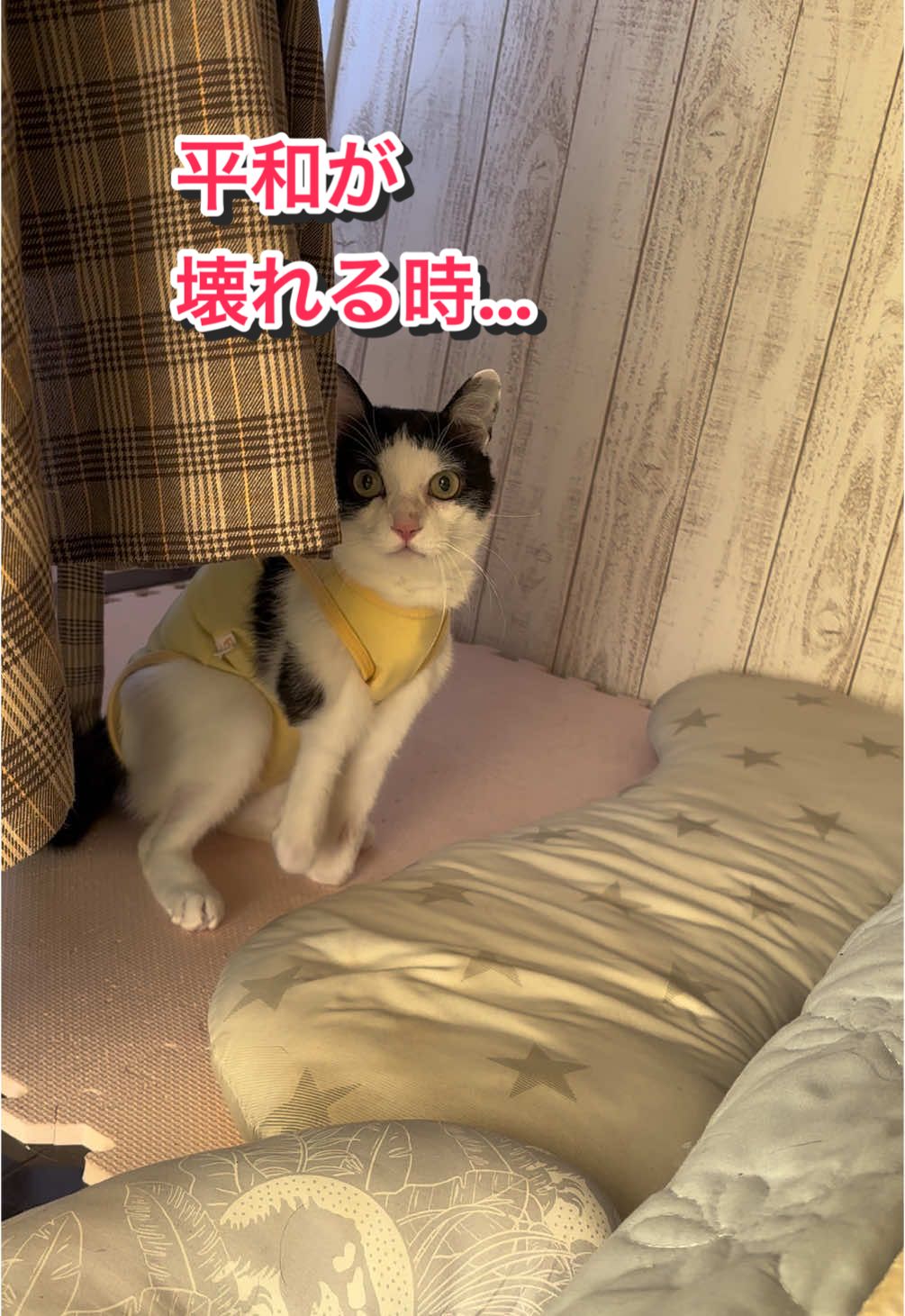 @陸丸 Rikumaru