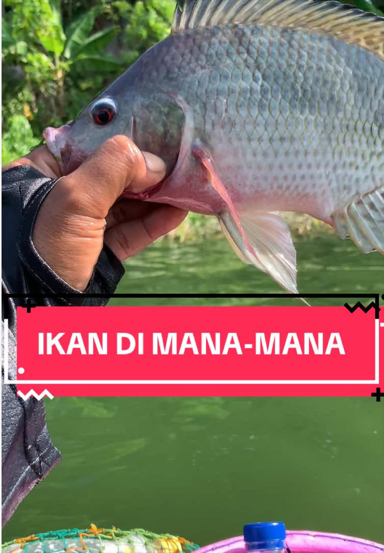 @MAFIA FISHING
