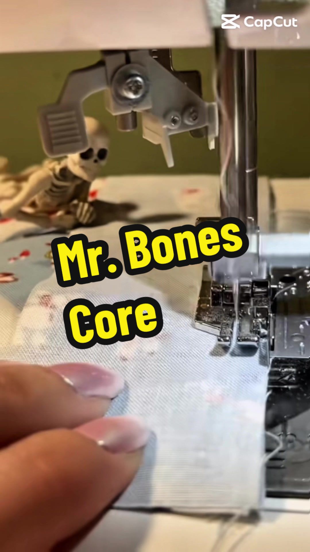 @Mr.Bones Sews