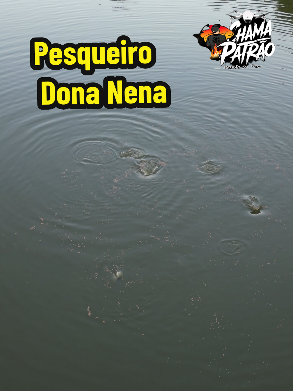 @Patr&atilde;o da Pesca
